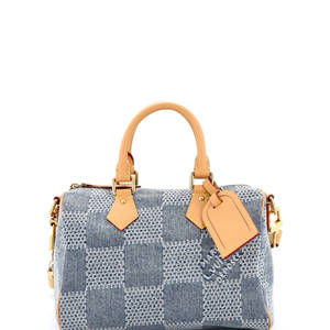 Louis Vuitton 25 Speedy Bandouliere Bag 3D Damier Giant Denim
